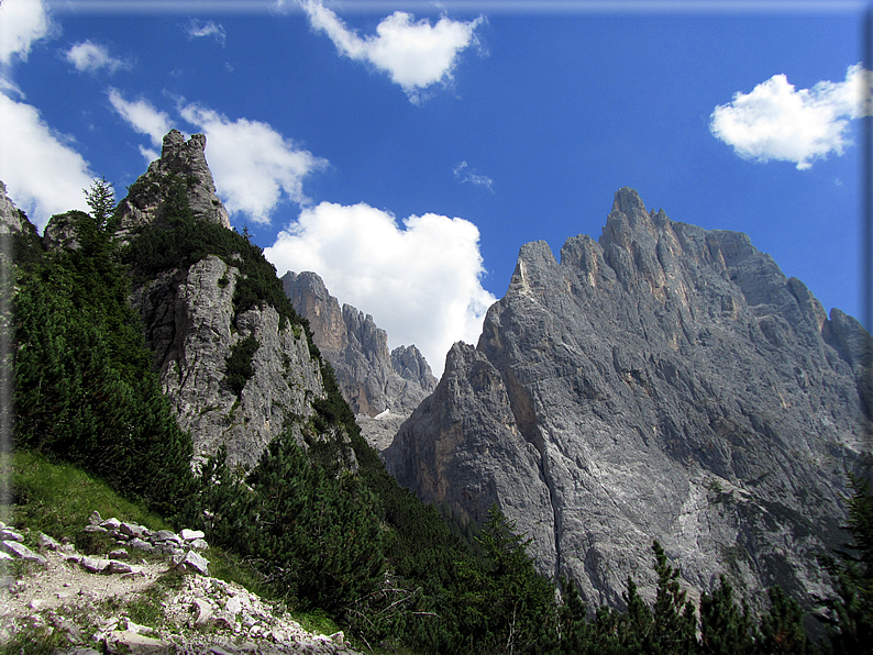 foto Pale di San Martino